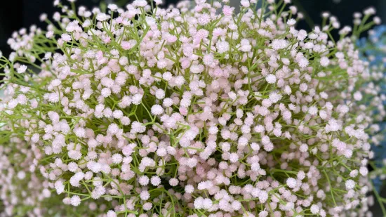 Заводская цена Искусственный цветок гипсофилы Babysbreath для свадебного украшения фона